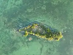 Coffee Caye from above