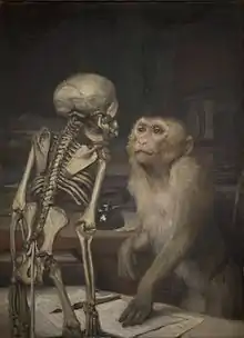 Monkey Before Skeleton