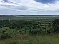 Wetlands after heavy rain