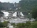 Agasthiar falls (Kalyani theertham)