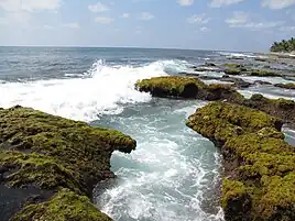 Scene at Lakshadweep Island