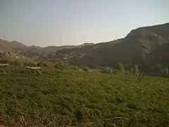 Agricultural vale in Kirthar Mountain