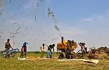 Threshing of paddy by machine, Bangladesh