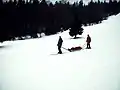 Patient transport sled managed by skiers