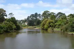 Ōrākei Creek in Meadowbank, as seen from the Waiatarua Road overbridge