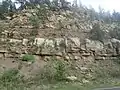 Alamitos Formation exposed in a road cut north of Pecos