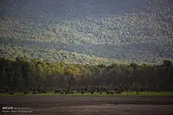 Photograph of Alendan Lake that is drying up