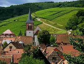 A general view of Albé and surrounding vineyards