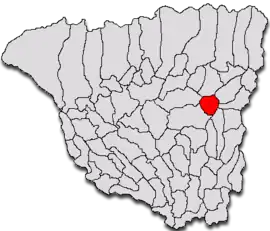 Location in Gorj County