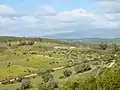 The open fields of the Algarve in spring