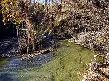 A slow-moving and shallow headwaters of a stream