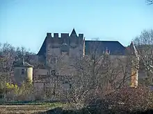 Château at Allemagne-en-Provence