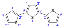 Terthiophene