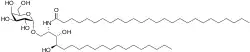 alpha-galactosylceramide