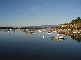 Along the Alvor River