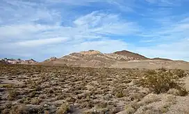 Hundreds of low, widely separated bushes populate a flat expanse of gravel that leads to a set of hills in the distance. The reddish hills, strongly banded by dissimilar rock layers, rise into a blue sky laced with filaments of cloud.