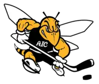 American International Yellow Jackets athletic logo