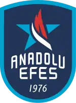 Anadolu Efes logo