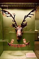 Deer mask for a Pazyryk horse (Tomb 1).