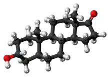 Ball-and-stick model of the androsterone molecule