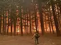 A firefighter watches impeding flames on August 7, 2021.