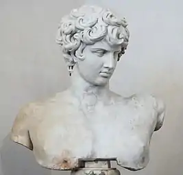 Bust of Antinous in the Palazzo Altemps museum in Rome