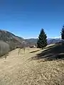 Mount Camiolo di Cima, hump and barn known as Ápene. In 1511 it was called Pine