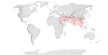 Map showing the range of Apis florea