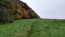 The approach to Fossil Beach in Sedbury, Gloucesterhire.