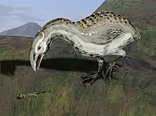 North Island adzebill (extinct)