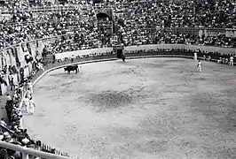 Bullfight from 1963