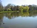 A pond in the arboretum next to the castle