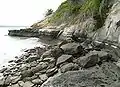 The rocks between the point and St Heliers Bay. Layers of sedimentary rock strata.