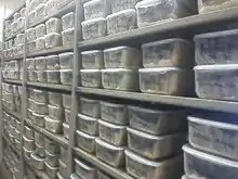 silk storage plankton plastics