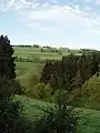 A view at the Ardennes near Stavelot