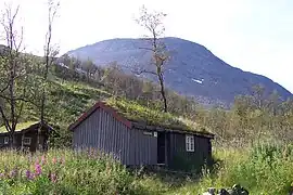 Hut inside the park