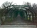 Trellis arches in November