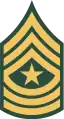 1966–1968, the only authorized insignia for all sergeants major