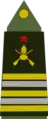 French Army(Lieutenant colonel)