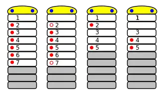 Four types of arthropods showing the acron and 9 head and/or body segments. Trilobites and chelicerates are shown with 7 head segments, and crustaceans and tracheates with 5 head segments. Of these, the first head segment of chelicerates and the second head segment of trachates is lost in development. All four start with an acron at the anterior end bearing compound eyes. All have nephridia on some or all head segments, some of which are lost in development in chelicerates. All—other than chelicerates—have antennae on the first head segment, and crustaceans also have antennae on the second head segment. Only chelicerans have chelicera, on the second head segment and first body segment, and pedipalps, on the third body segment. Crustaceans have mandibles on the third head segment and maxillae on each of the fourth and fifth head segments. Trilobites and chelicerates bear legs on all remaining head segments, but crustaceans and tracheates have legs on the anterior body segments.