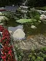 Artificial Lake in Hong Kong Park