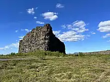 Eyjan cliff in Asbyrgi canyon.