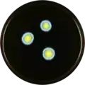 Aspergillus endophyticus growing on MEAOX plate