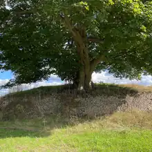 Colour photograph of the Asthall barrow