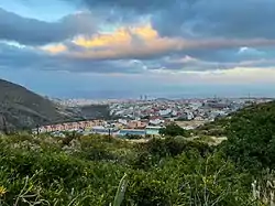 Skyline of Santa Cruz de Tenerife