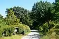 A view of the arboretum.