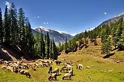 Utror Valley, in Swat District