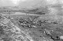 Japanese troops lie where they fell during the final banzai charge at Chichagof Harbor on  29 May 1943.