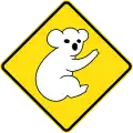 (W5-Q08) Koalas (Used in Queensland)