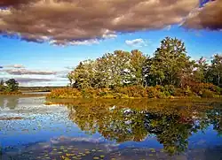 Pecks Pond in Porter Township